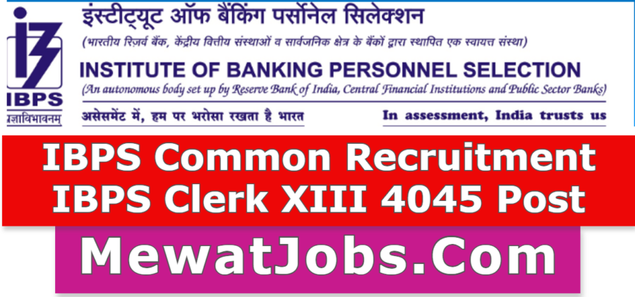 IBPS Common Recruitment IBPS Clerk XIII 4045 Post mewatjobs.com